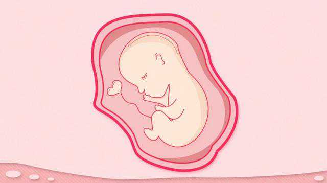 胎停y染色体异常，不用怀孕也能生孩子？人造子宫的诞生，对于女性来说意味